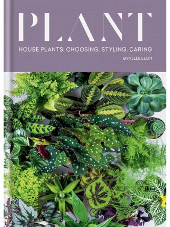 PLANT HOUSE PLANTS CHOOSING STYLING CARING