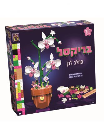 בריקסל סחלב לבן