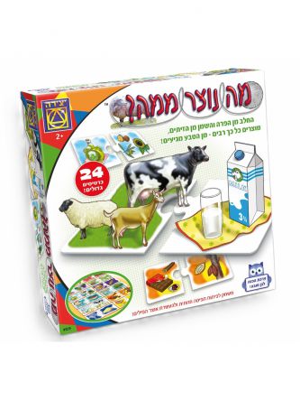 מה נוצר ממה? משחק קופסה