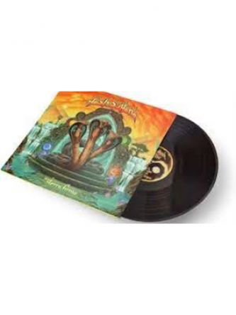 TERRA FIRMA 2LP