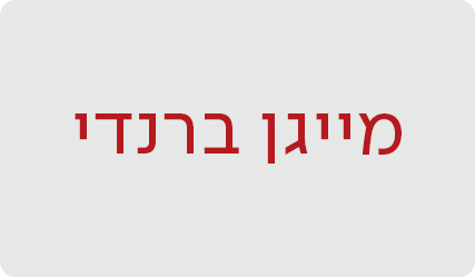 מייגן ברנדי - מעבר לעמוד הסופרת