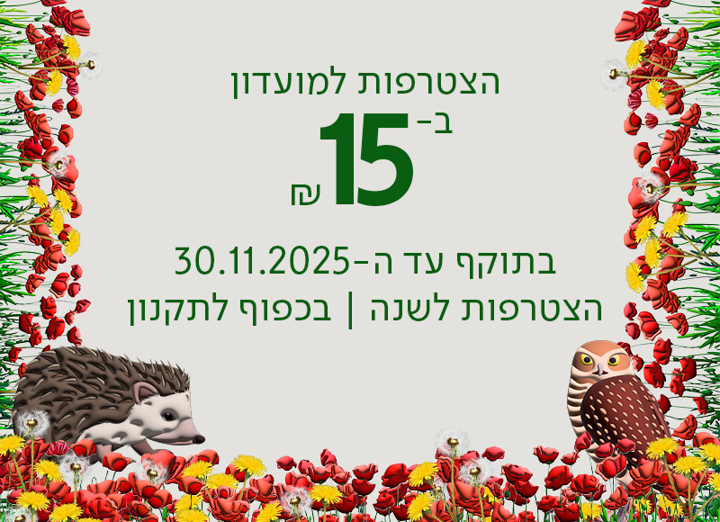 הצטרפות למועדון ב-15 ש"ח, בתוקף עד ה-30.11.2025 | הצטרפות לשנה | בכפוף לתקנון