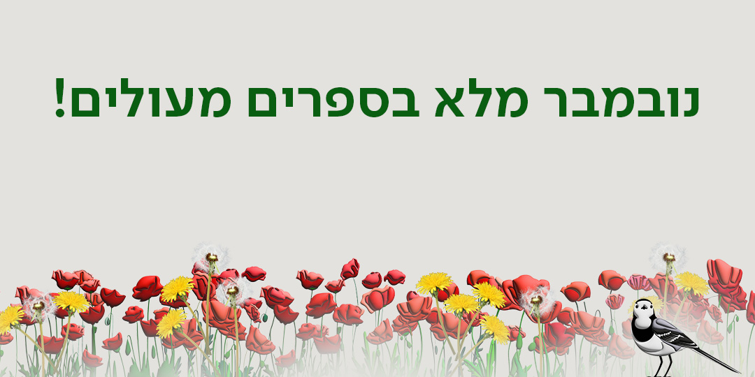 נובמבר מלא בספרים מעולים!