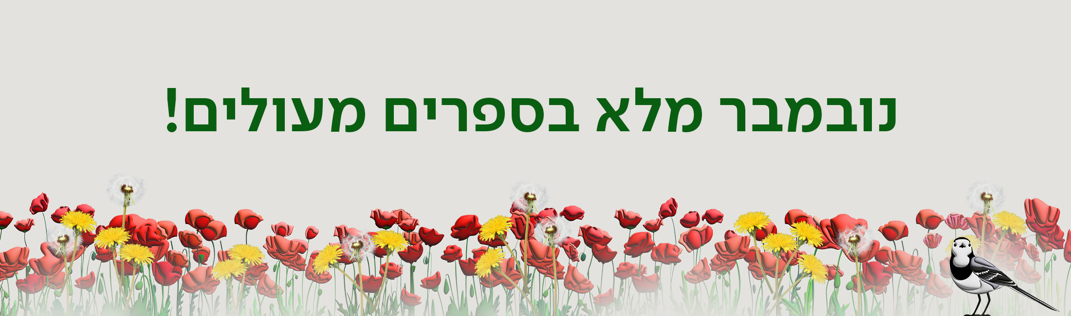 נובמבר מלא בספרים מעולים!