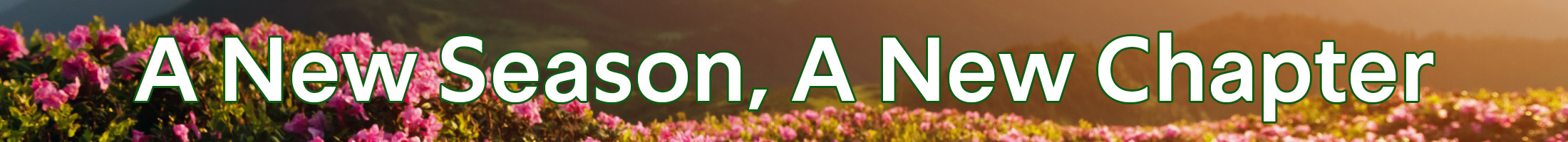 A New Season, A New Chapter