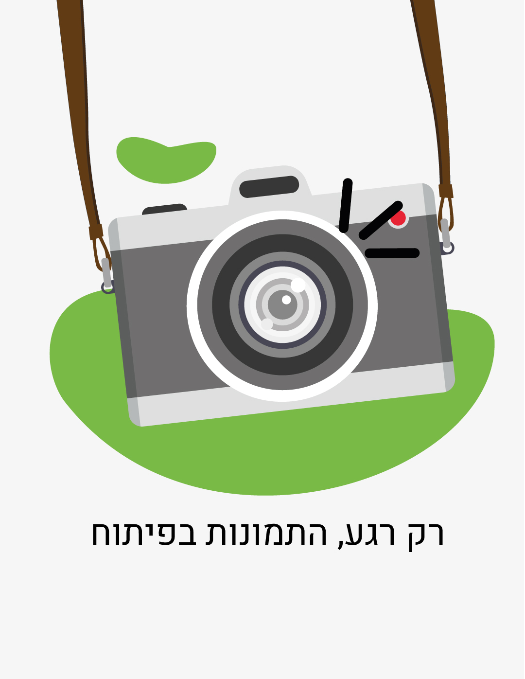 דיאטת 10 השבועות